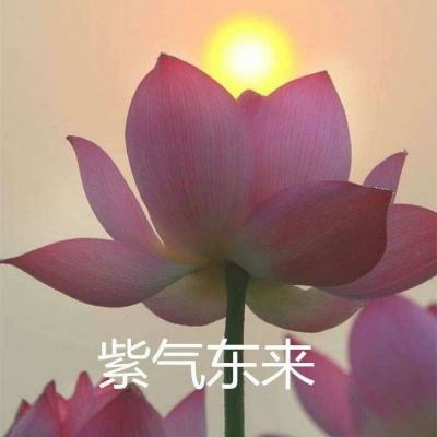 神话三国手机版下载
